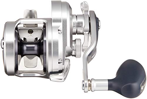 ������̵���ۥ��ޥ�(SHIMANO) ξ���꡼�� ������������ �Ƽ� ���ե��祢 �� �緿�꡼��