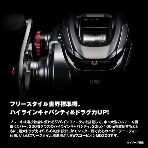 ������̵���ۥ��ޥ�(SHIMANO) �٥��ȥ꡼�� 24 �������ԥ��� MD �Ƽ�