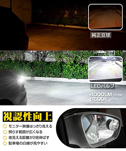 ������̵����SINMAIT T20 S25 T16 LED �Хå����� T20���󥰥� ������ LED�Х�� Ķ�⵱��4000�롼��� �ۥ磻�� 2�ĥ��å�