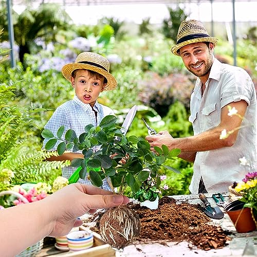 【送料無料】10個5ペアセット植物発根 ボックス 植物根成長ボックス 植物発根装置 ...