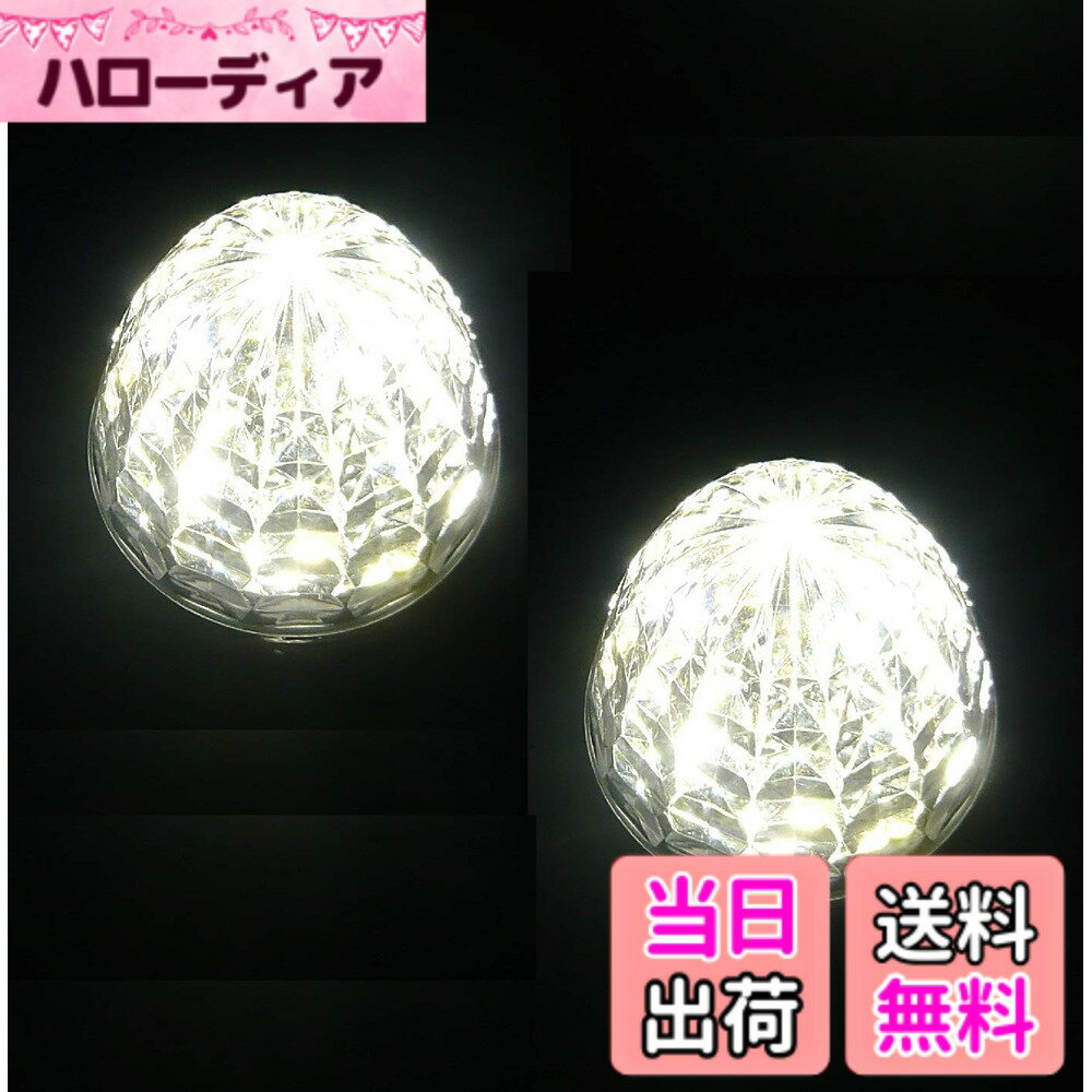 【送料無料】Customize（カスタマイズ） トラック用 マーカーランプ LED サイド マーカー 16LED 24V 用 汎用 2個 セット ブルー/イエロー/レッド/ホワイト/グリーン/ピンク 各色あり 色：ホワイト
