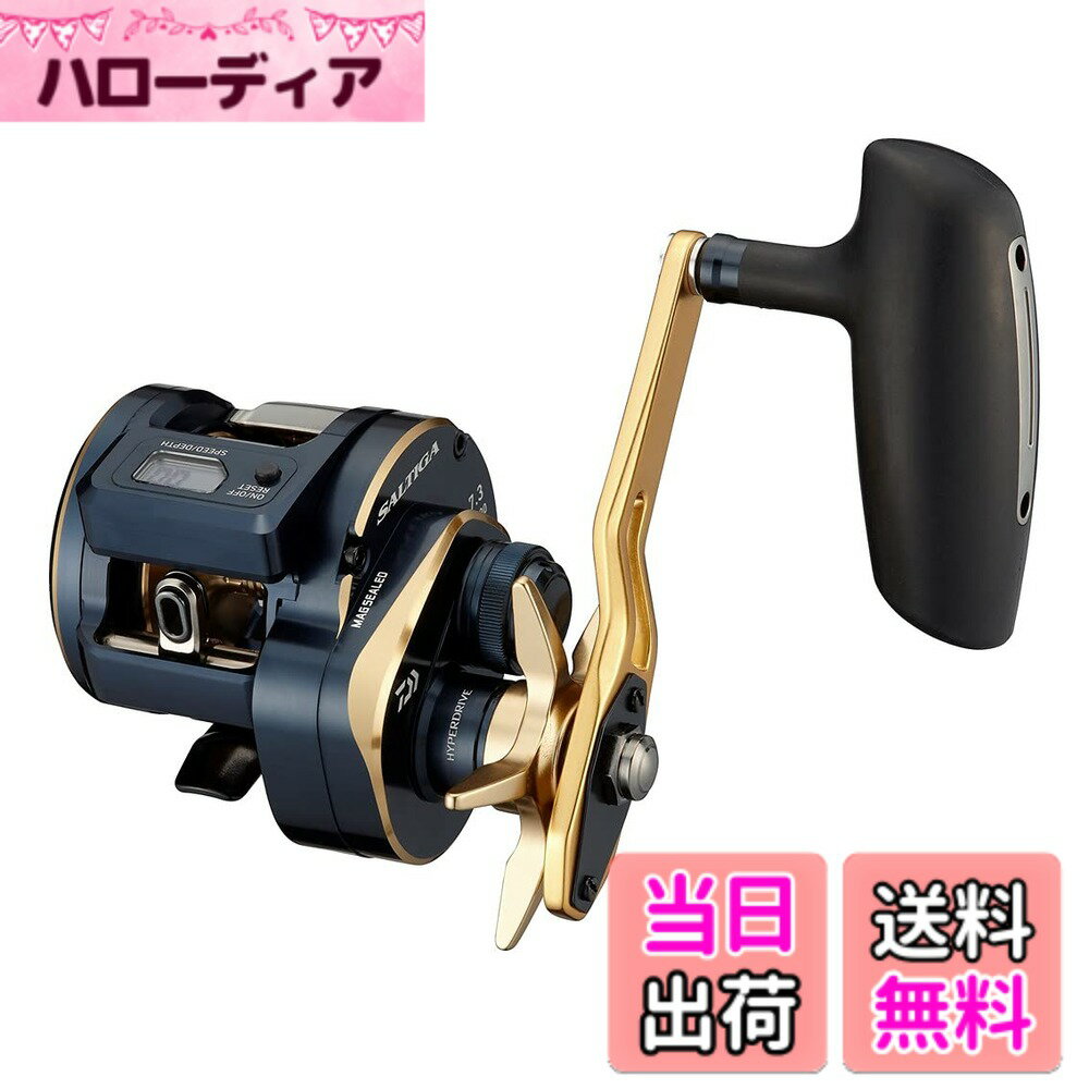 【送料無料】ダイワ(DAIWA) カウンター付きオフショアベイトリール SALTIGA(ソルティガ)IC 100~300番 シングルハンドル/ダブルハンドル 各種(2021-2023モデル) 色：ブラック、サイズ：300