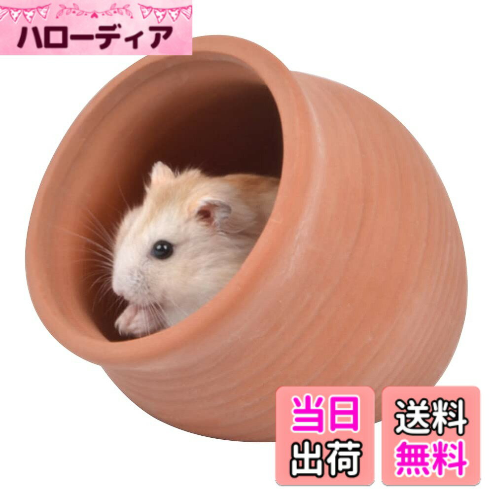 ������̵����HIGHAWK�ϥॹ���� �ϥ��� ƫ�� ���� ������ ���ؤ� ���� ����� ���� �ô� �뤵�к� �İ��� ��ưʪ�� �٥å� ���������� ��������S