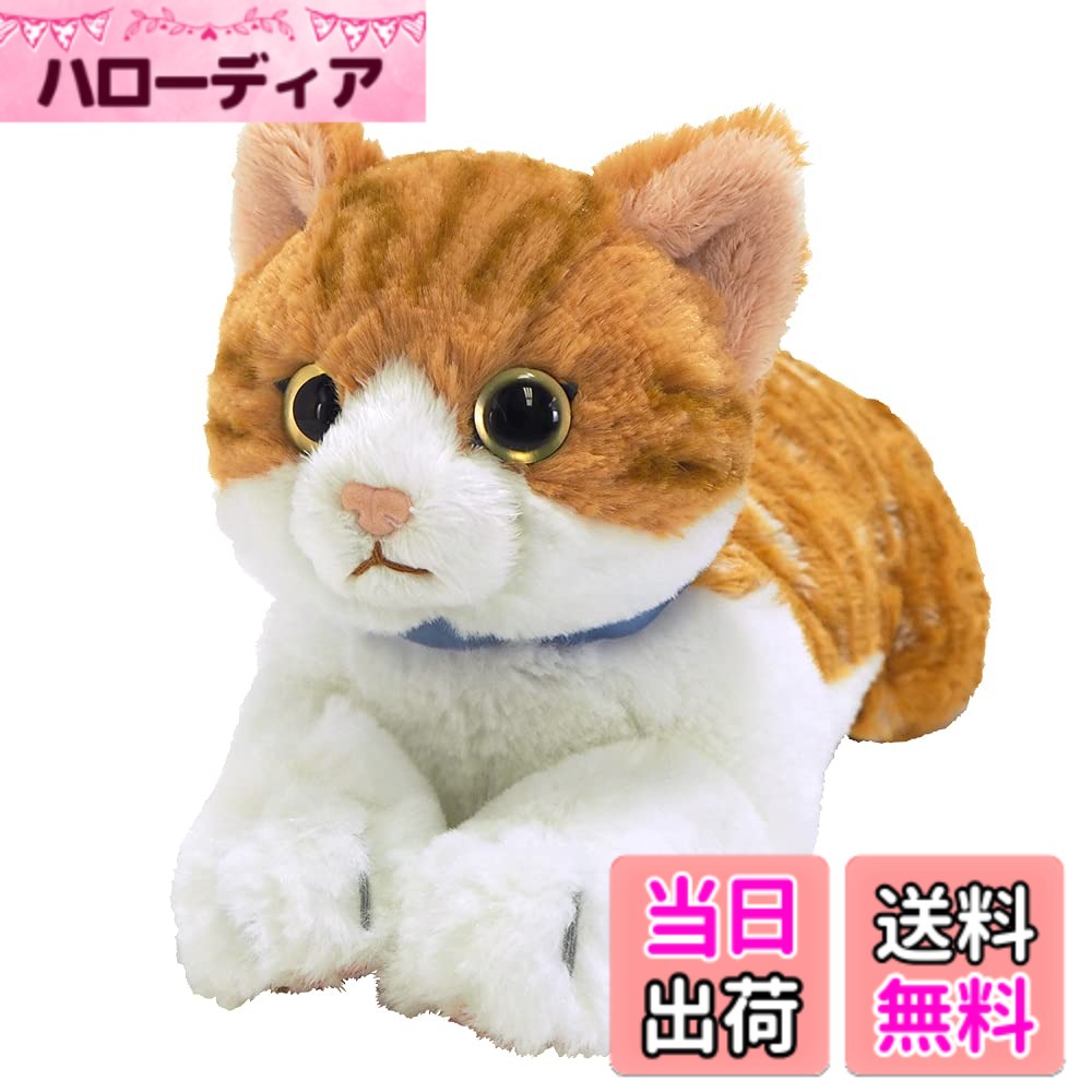 ������̵���ۤҤ� �����ͤ� ���㥷��S����������Small