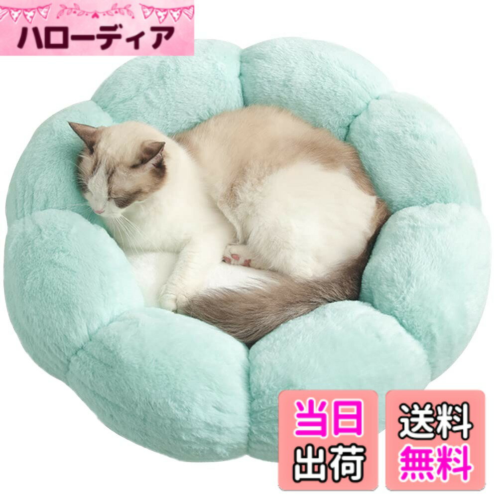 ������̵����Bidason �ڥå� �٥å� ���å���� �ַ� �� ���� �İ��� ��С����֥� ��դ�� �դ�դ� �Ȥ��� �ɡ��ʥ� ���� ǭ ���� ���ߤ� ��...