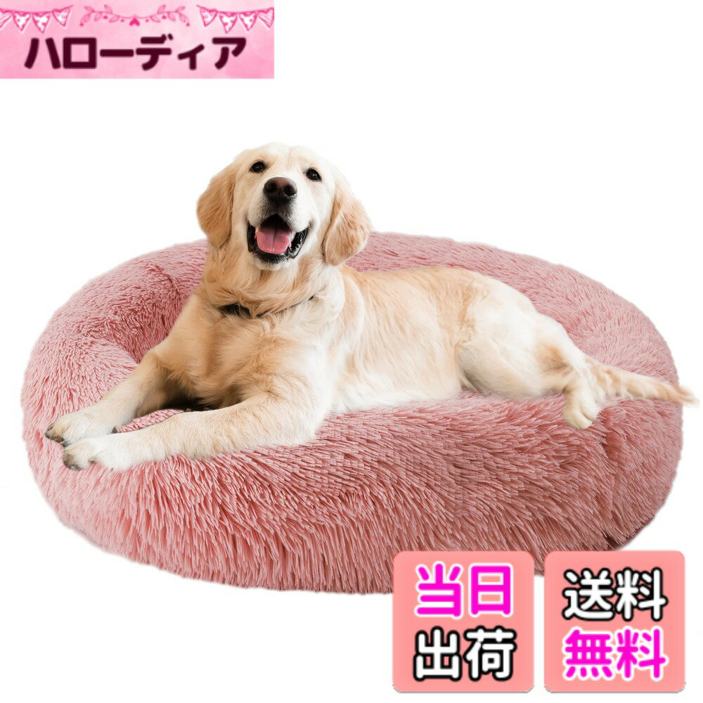 ������̵����Aurako ���٥å� ǭ�٥å� �դ�դ� �ݷ� ���å���� �ɡ��ʥĥڥåȥ٥å� ���ä���̲�� ǭ�� �������� �⤳�⤳ �Ȥ��� ���ߤ� �ɴ� ...