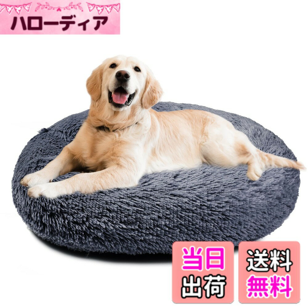 ������̵����Aurako ���٥å� ǭ�٥å� �դ�դ� �ݷ� ���å���� �ɡ��ʥĥڥåȥ٥å� ���ä���̲�� ǭ�� �������� �⤳�⤳ �Ȥ��� ���ߤ� �ɴ� ...