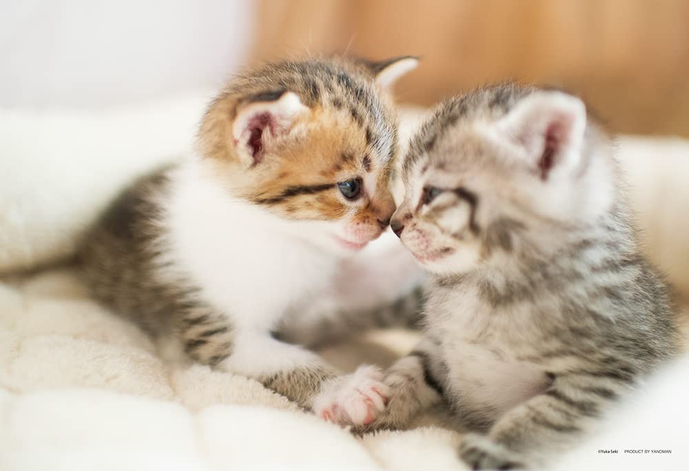 【送料無料】やのまん どうぶつシリーズ 色：猫、サイズ：300ピース