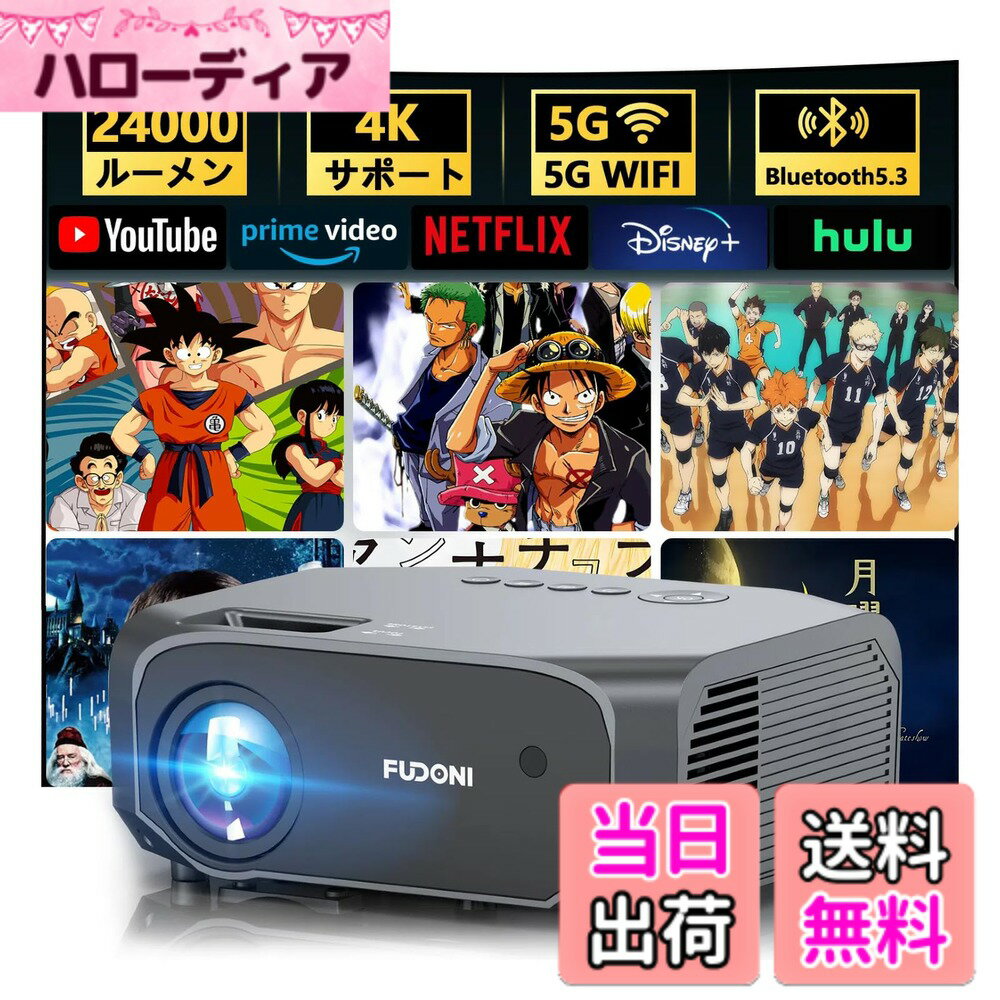 【送料無料】【最新家庭用24000LM＆100
