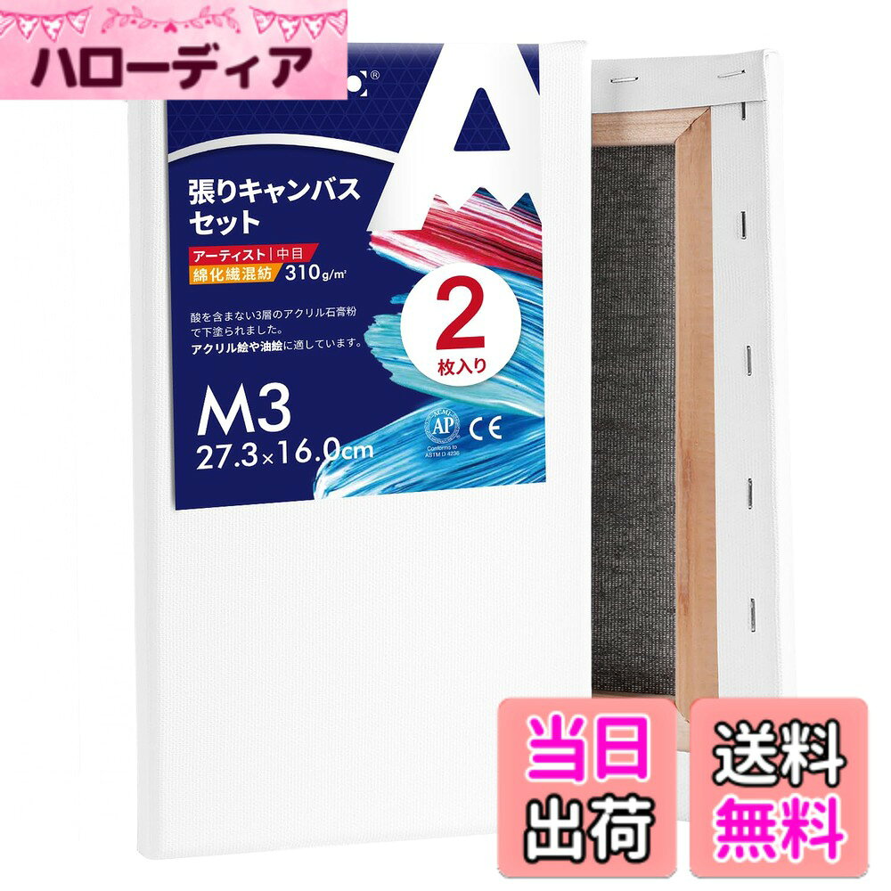 樂天商城 - 【送料無料】AUREUO 綿化繊混紡 張りキャンバス M型 - 中目布 水彩画・油絵画・アクリル兼用 - モダンアート・ポップアートに最適 色：M型、サイズ：M3, 2枚