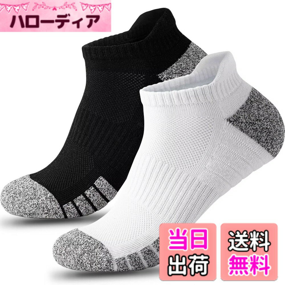 ������̵����[HWVICTORYV] ���� ��� ��ǥ����� ����֤� ���ݡ��ĥ��å��� 2/6­���å� �� ���� �ɽ� ��ѥ��� ���ˡ��������å��� ��� ...