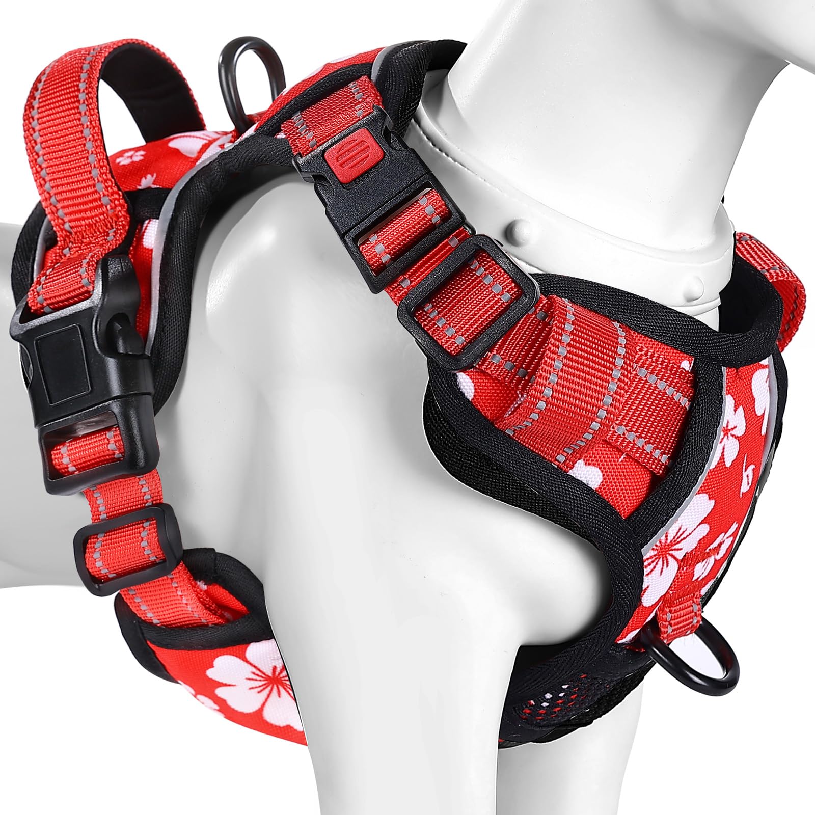 ������̵����BaoCheng ���ϡ��ͥ� ����ĥ���ɻ� ������åɥե�����������XS