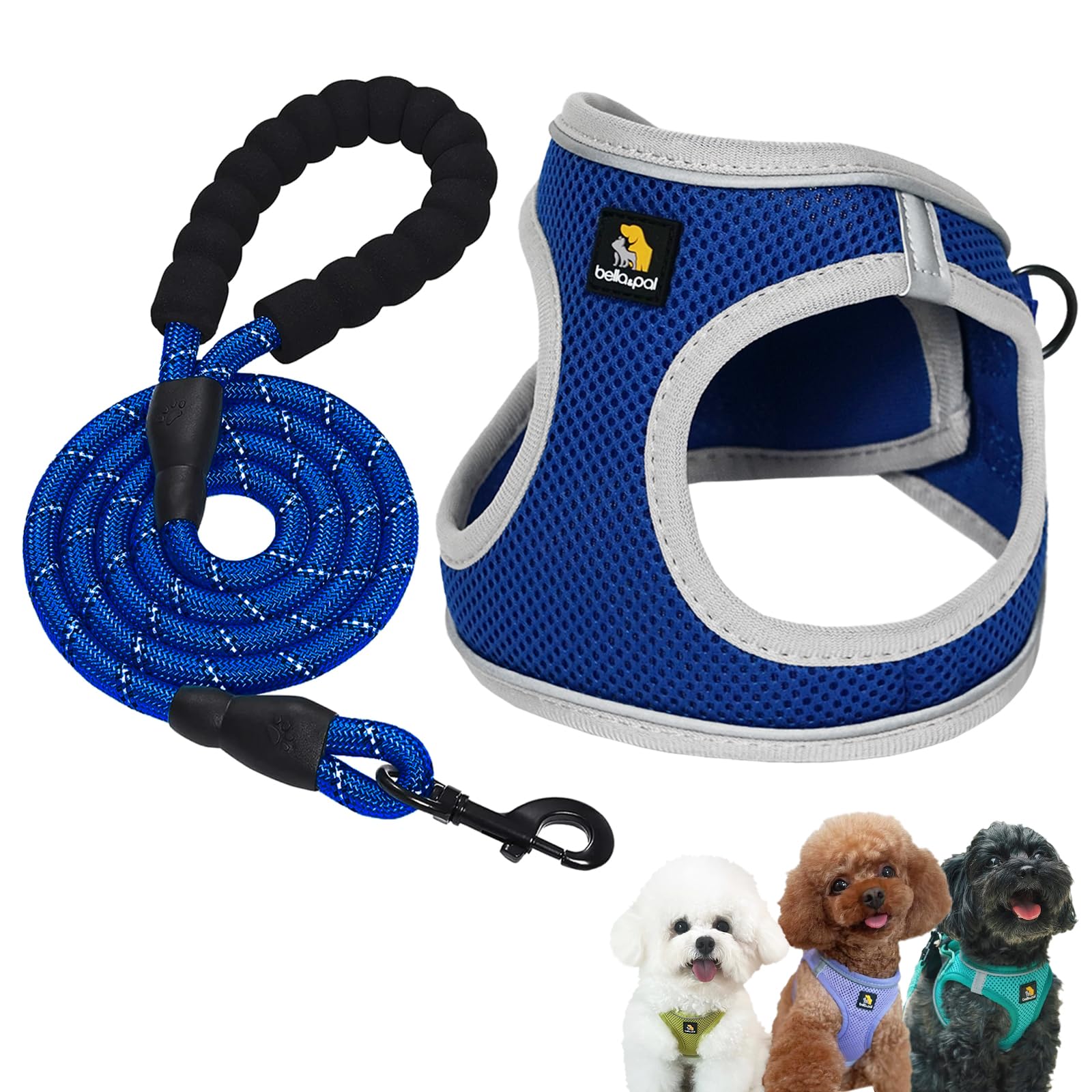 ������̵����BELLA & PAL ���� �ϡ��ͥ� �꡼�� ���å� ������ Ķ������ ǭ�ѥϡ��ͥ� ƹ�� ����ĥ���ɻ� ������Ĵ����ǽ ���ȿ�� æ���ñ �ѵ�...