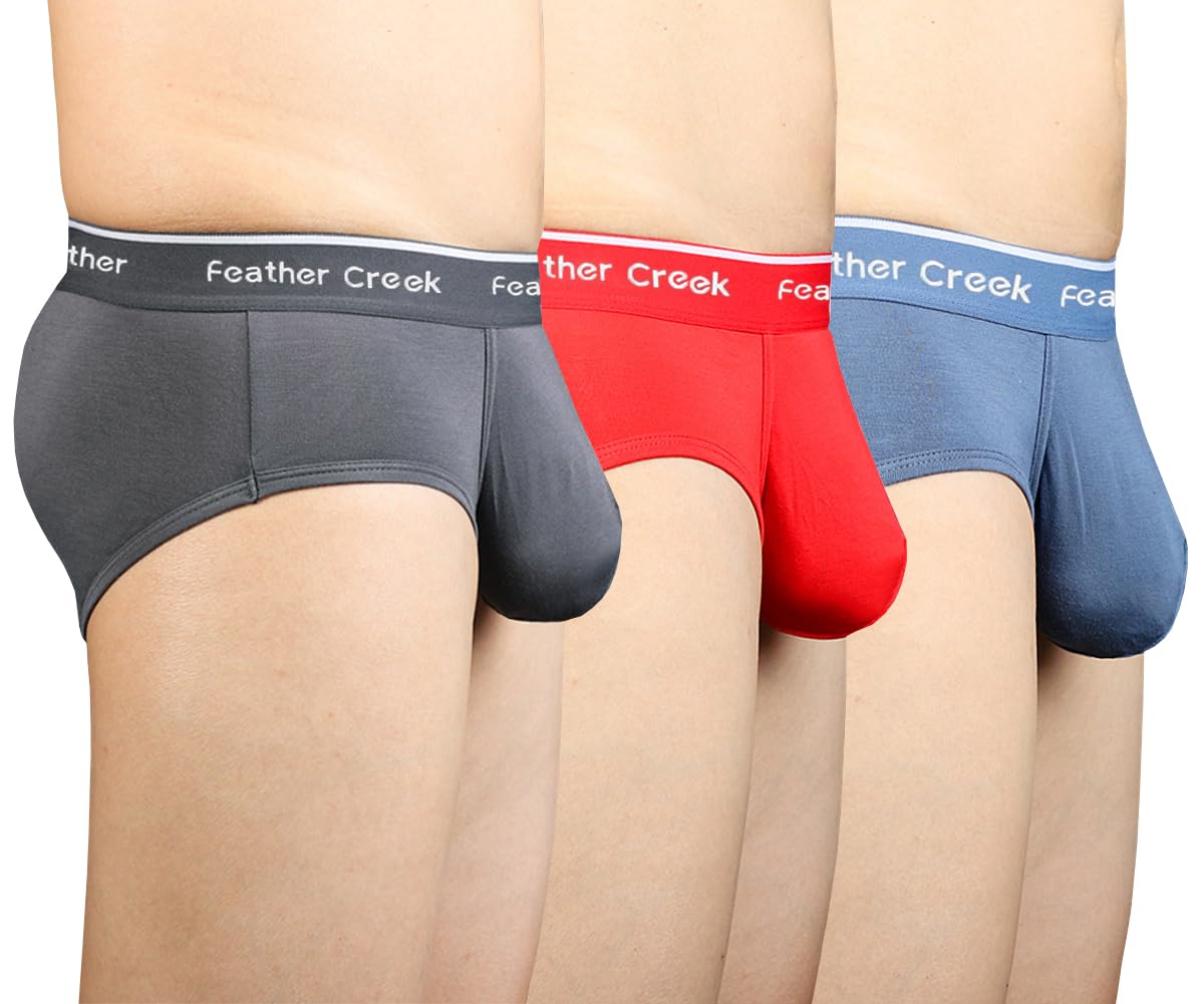 【送料無料】[Pastinde] ブリーフ メンズ 蒸れない モダール 下着 パンティー 立体構造 通気性 肌触り..