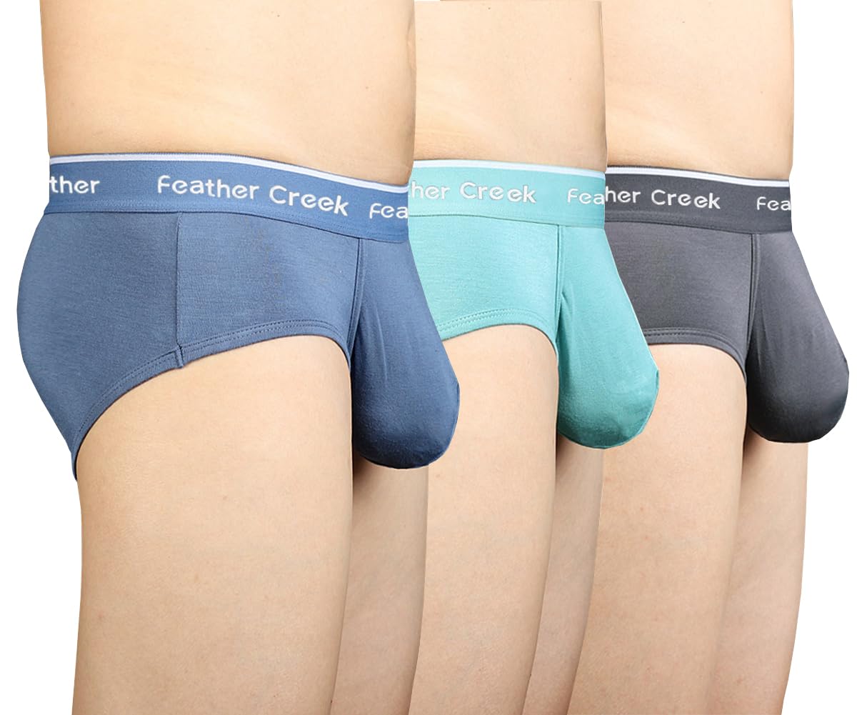 【送料無料】[Pastinde] ブリーフ メンズ 蒸れない モダール 下着 パンティー 立体構造 通気性 肌触り..