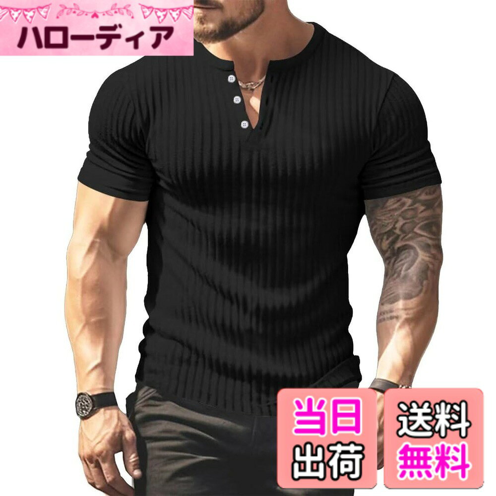 ������̵����[NARROE] ���ޡ��˥å� Ⱦµ �ɥ饤 t����� ������ƥ쥳V�ͥå����åȥ��� ̵�� �ݥ������ ������� �ٿ� �ԥå��� ���ȥ�å� ��...