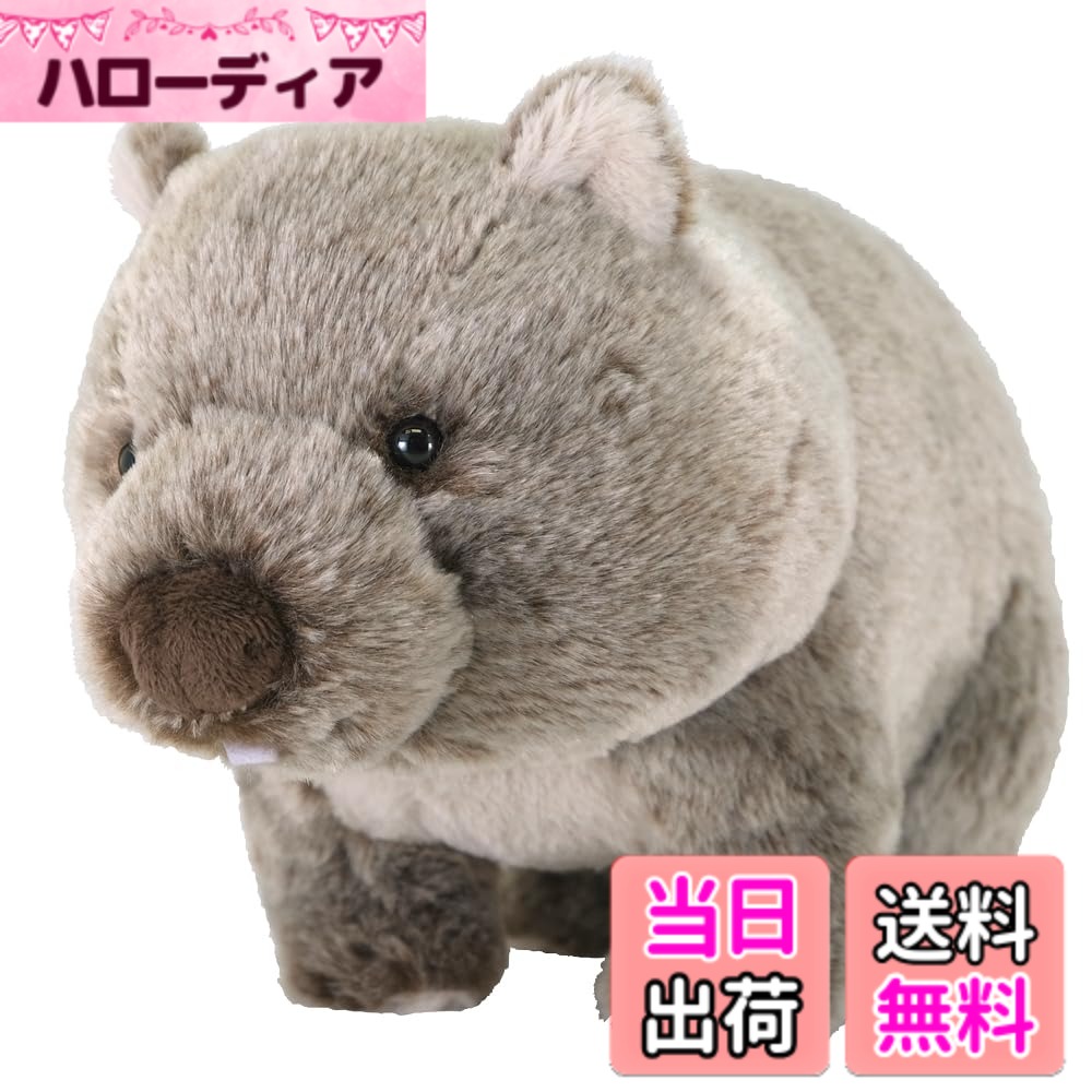 ������̵���ۥ������ �ե�åե����� �̤������ ���˥ޥ� ��������¾����������M