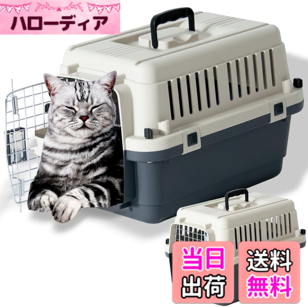 ������̵���ۥץ����Х� �ڥåȥ���꡼ ������ �淿�� �緿�� �������졼����������DX50A M�������ʾ���)