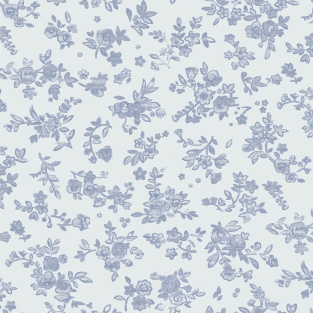 ������̵���ۥ����� ������ ����C �����֥롼�ե�����������Ⱦ��Ƚ