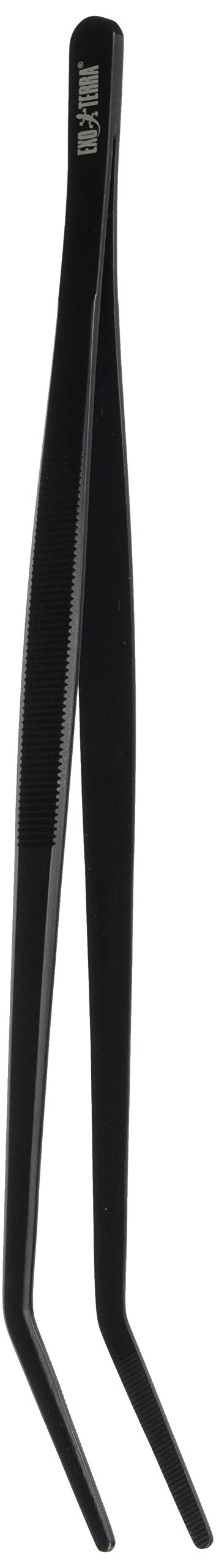 ������̵���ۥ����եƥ��ԥ󥻥å�