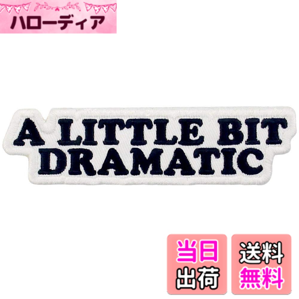 【送料無料】テキスト文刺繍入りアイロン貼り付け/縫い付けワッペン 色：ブラック,、サイズ：10 * 2.5 センチ