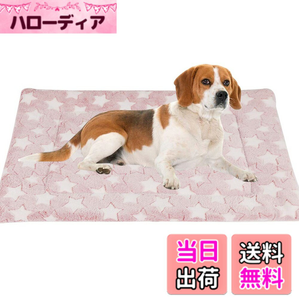 ������̵����Bidason �ڥåȥ��å���� �ڥå� �ޥå� �դ�դ� ���ä��� ���ޥå� ���������� �ڥåȥ٥å� ������ �İ��� �ݲ����� �����緿���� ��...