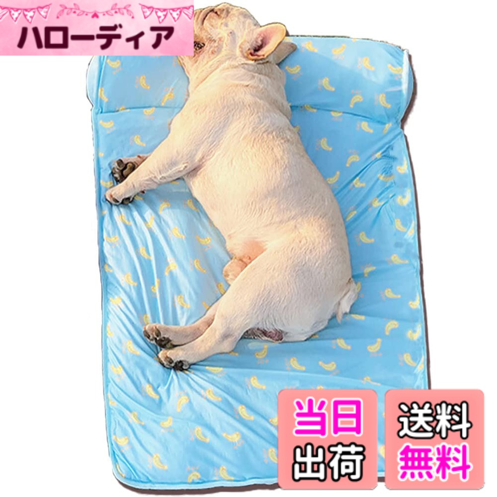 ������̵����Yuriya ���ե� ������ޥå� �Ҥ��� �ڥåȥ٥å� �� ���餫�� ���դ� �ô� ���� ���ߤ� ������ ������ �淿�� ǭ �뤵�к� �ܤΤ�...