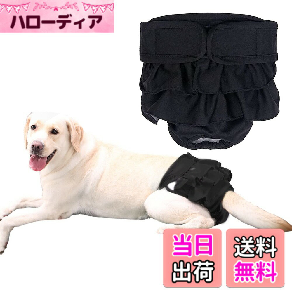 ������̵����KUVEELA PET ���ѥޥʡ��ѥ�� ���� �᥹ ���˥��꡼�ѥ�� ���ѥѥ�� �� ���������ѥ�� ���ѥ���ĥ��С� ���λ� �᥹ ȯ����� ��...