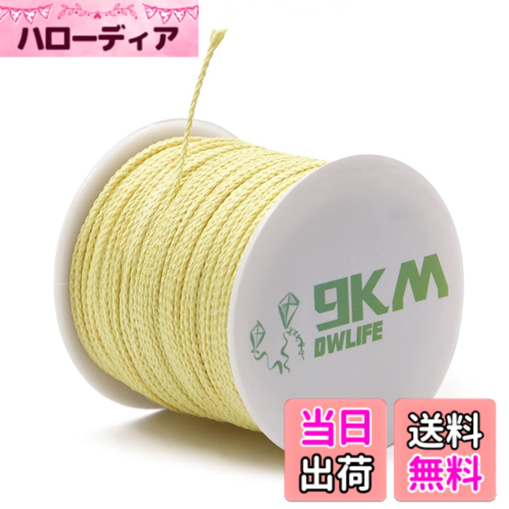 【送料無料】9KM DWLIFE ケブラーコード 100%ケブラー繊維 ブレード 耐荷重45kgから910kg まで 編み構造 高強度 軽量 低伸度 UVカット アシストライン ケブラー糸 ケブラーライン アウトドア 釣り カイト糸 ハイキング アクセサリー サイズ：910kg(2000lb) Φ4.0mm x 16M