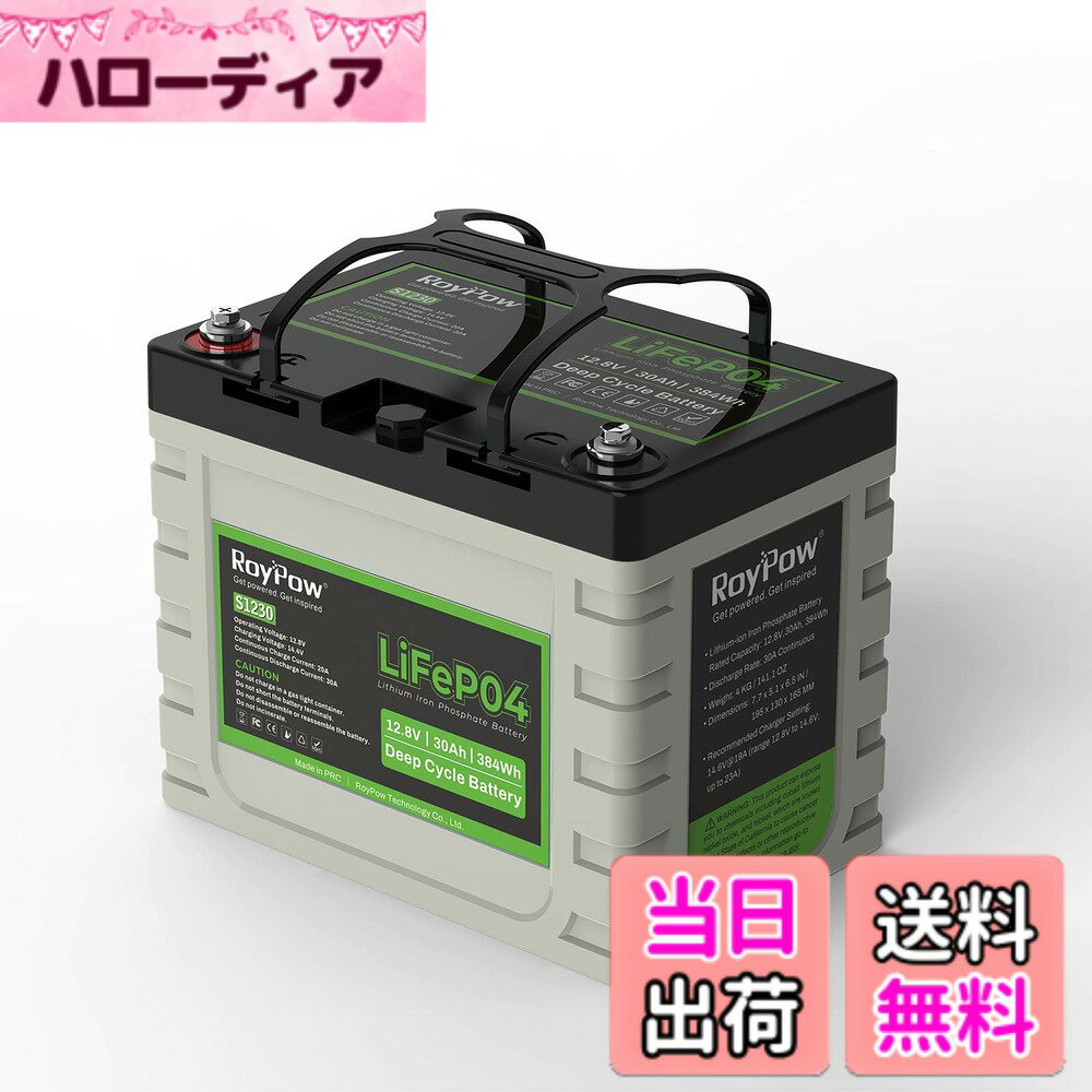 【送料無料】RoyPow 12V LiFePO4 リン酸鉄リチウムイオンバッテリー