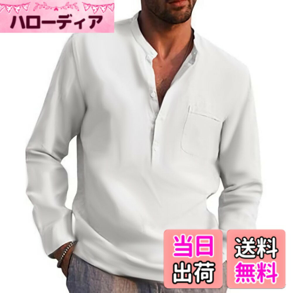 【送料無料】[aspersio] アスペルシオ さわやか ヘンリーネック シャツ スタンドカラー お洒落 デザイン v系 トップス メンズ 色：オイスターホワイト、サイズ：L