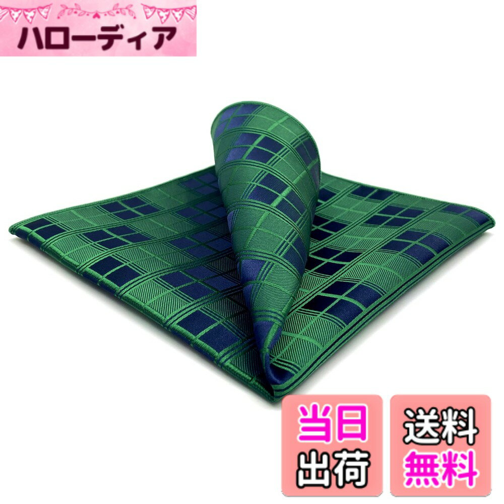 【送料無料】[S&W SHLAX&WING] メンズ ポケットチーフ 柄 ブルー レッド 32cm 大きくて背が高い ウェディング 色：AH92、サイズ：AH92