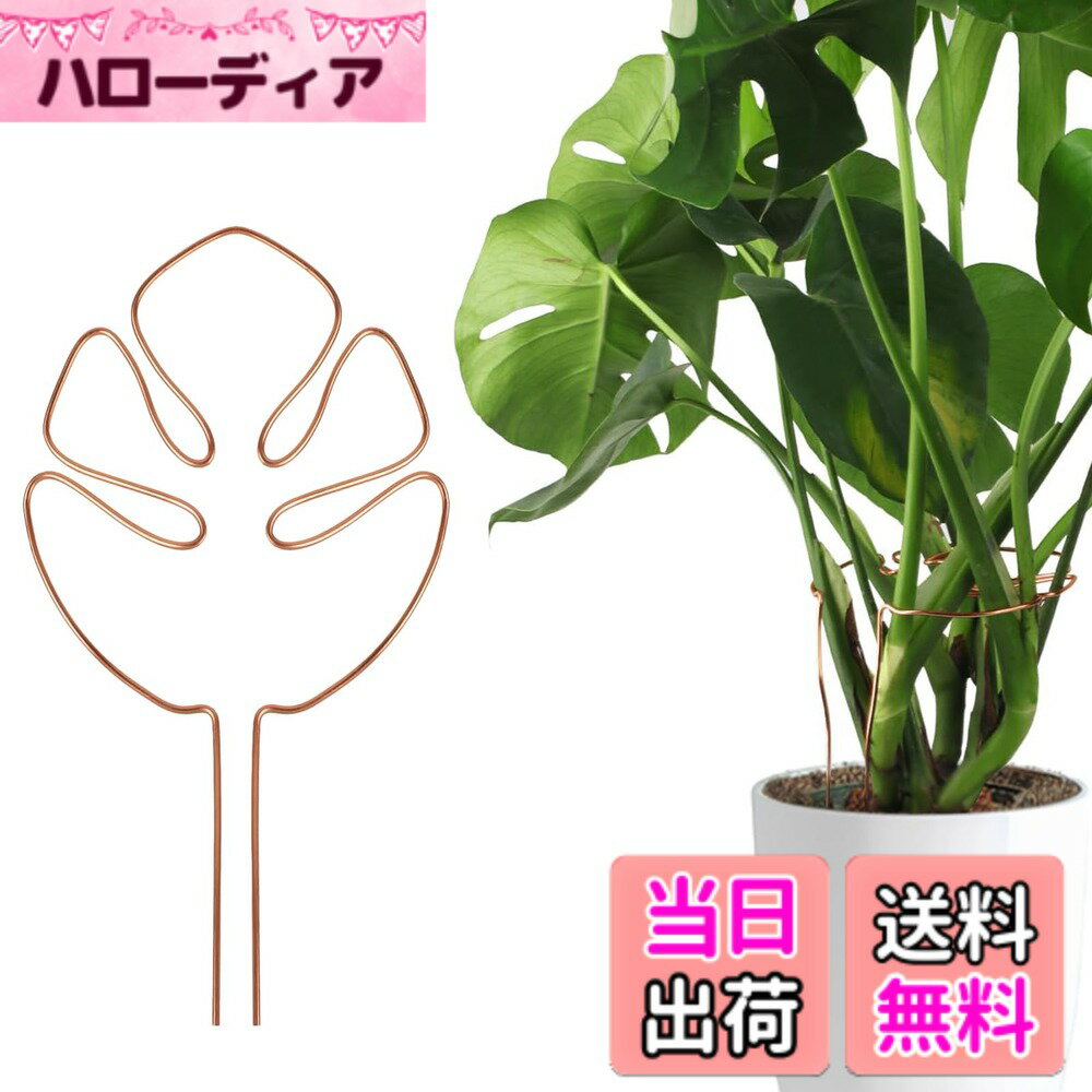 商品情報商品の説明主な仕様 【商品の仕樣】高さ：28cm 幅さ：15cm（約50cm植物対応する） 裹サイズ：31cm*15cm*2cm 重さ：70gbr【高品質素材】このプラントサポートポールは、曲げ可能なアルミニウム合金製で、曲げ角度を調整可能、成長段階の期間約50cm高さ植物対応する、倒れ防止。【適用対象】主に成長期のモンステラ・デリシオサまたはモンステラに似た植物の倒れ防止を目的としています。モンステラ、ポトス、トマトなどの着生植物や蔓性の観葉植物の栽培に適しています、庭園の美しさをさらに演出します。【耐湿性】錆びない設計を採用し、雨を気にせず屋外で使用できます。【品質＆配達迅速】：商品の品質には万全を期しておりますが、万一商品が破損・汚損していた場合、またはご注文と異なる場合は、「注文履歴」→「出品者に連絡する」から弊店にお問い合わせをお願いいたします、12時間以内対応させていただきます。また、が弊社の配達業務を担当しますので、平均的2-5日以内お届けします。