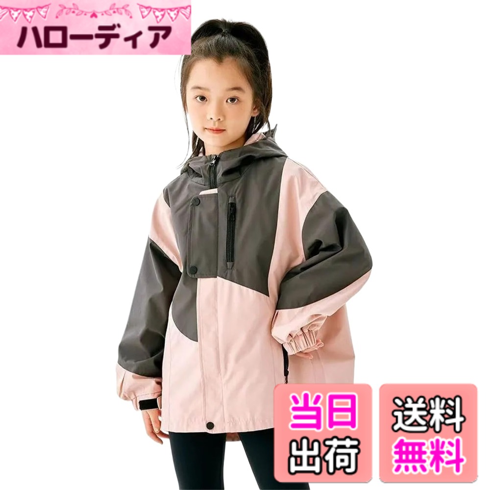 商品情報商品の説明主な仕様