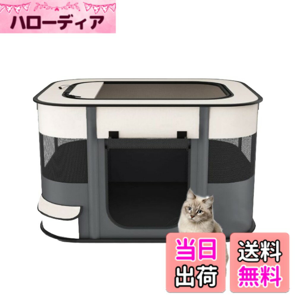 ������̵����Benebomo Ĺ���� �ޤꤿ���߼� �ڥåȥ������� ��Ǽ�Хå��դ� ǭ ���� ������ �Ȥ�Ω�ƴ�ñ �����դ� ��å��奵������ ����ѥ��� �л�...