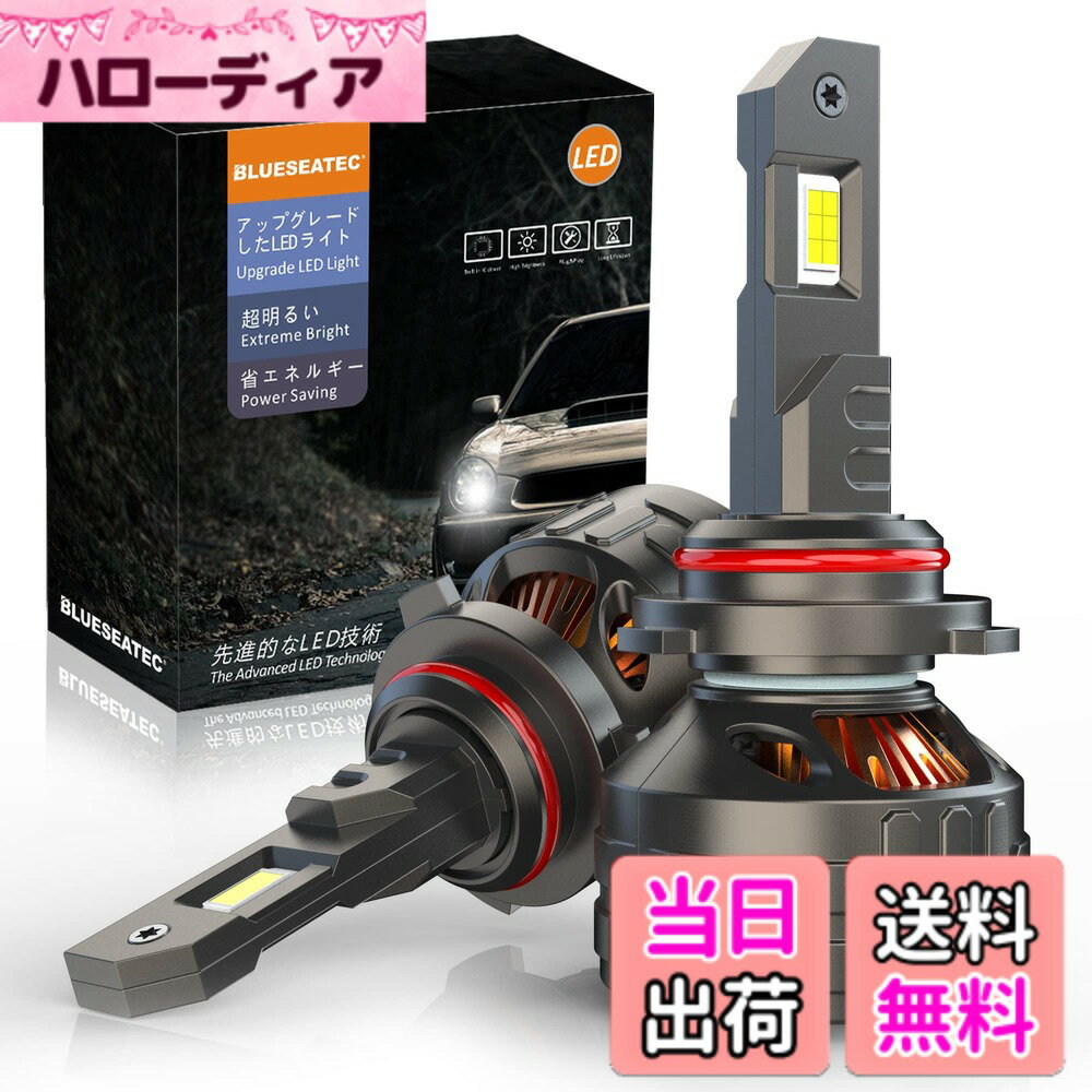 【送料無料】BLUESEATEC 車検対応 BMW ベンツ 純正HIDをLED化 無加工交換 ポン付け 次世代 HID を超えるLED ホワイト 6500K 35W 両面発光 キャンセラー内蔵 輸入車対応 12V車/24V トラック用 サイズ：HB4