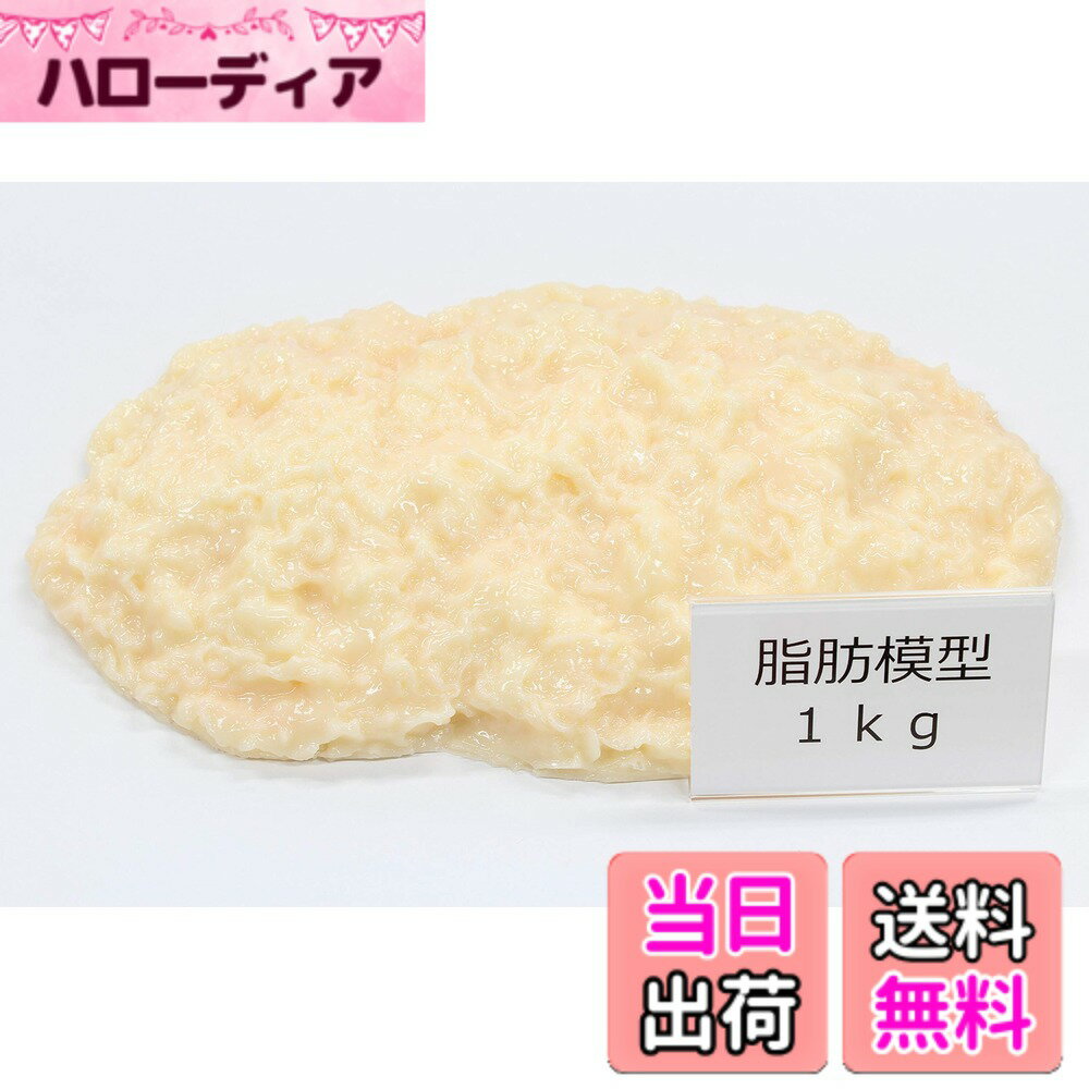 楽天市場】脂肪模型（日用品雑貨・文房具・手芸）の通販