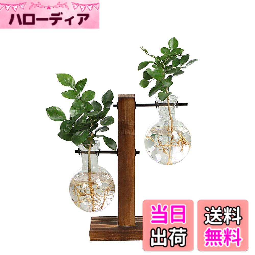 【送料無料】Surenhap ガラス花瓶 水耕栽培 水耕栽培ポット ミニ観葉植物 栽培キット 育てるグリーンペットベジ ガラスフラワーベース 卓上花瓶 透明 おしゃれ アンティーク 北欧 アジアン 雑貨 ガラス瓶 店飾り 部屋インテリア (C) 色：C