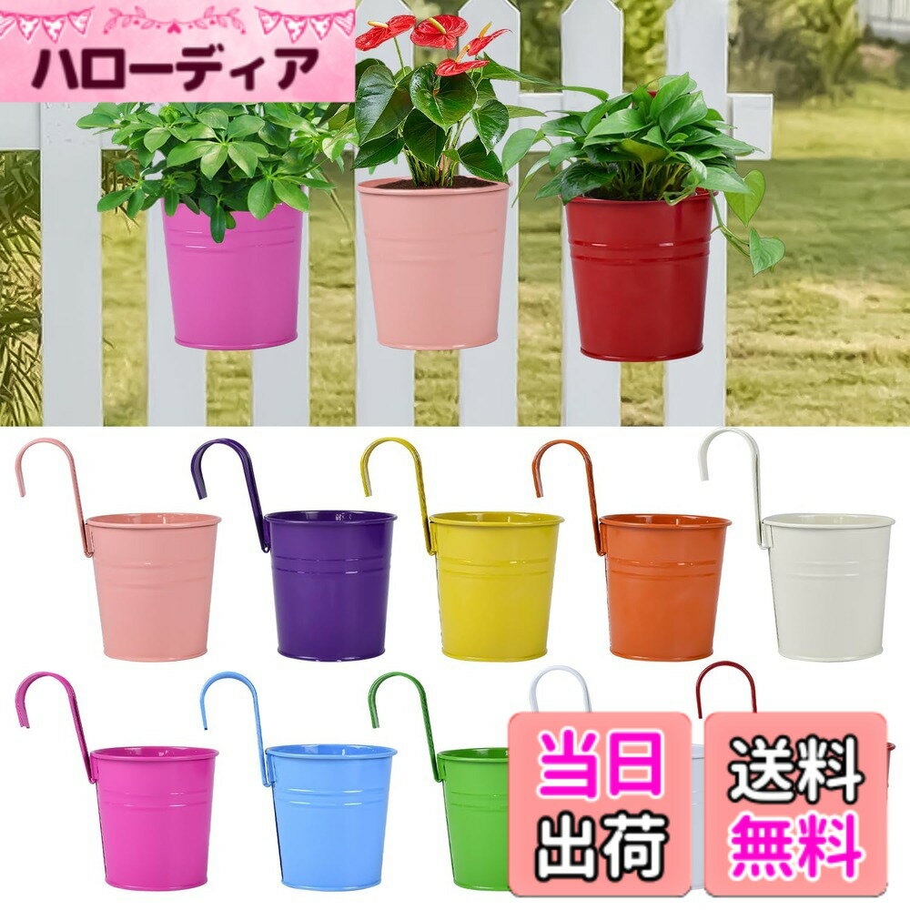 【送料無料】植木鉢 10個 壁掛け 植木鉢カバー 金属製 ライフ小屋 排水穴 フラワーポット フック ガーデニング 壁吊り花ポット ベランダ菜園用 持ち運び便利 色：ゴールド