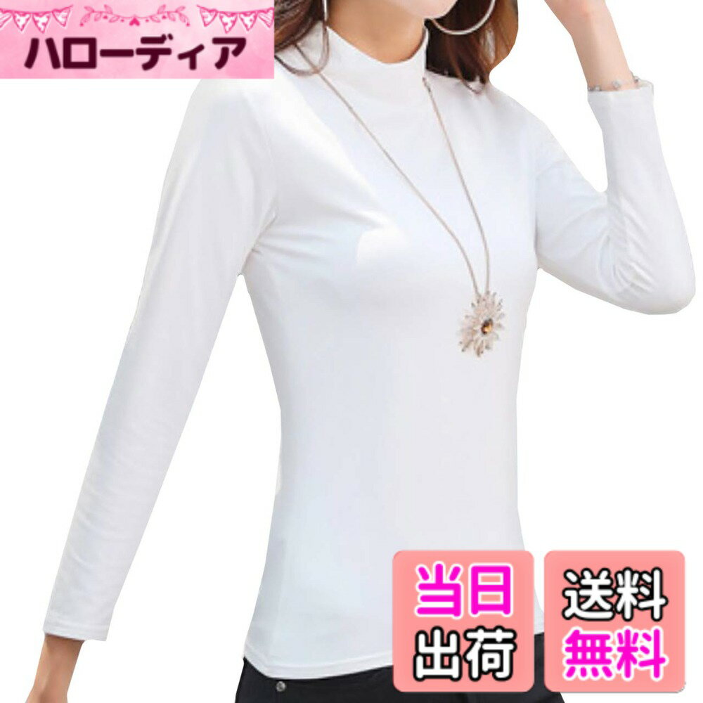 ������̵����[�Х� ���쥯�����] ��ǥ����� �����ȥ� �ϥ��ͥå� �ȥåץ� ���åȥ��� ����ʡ� Ĺµ ���� TSL040 ����02�ۥ磻�ȡ���������XL