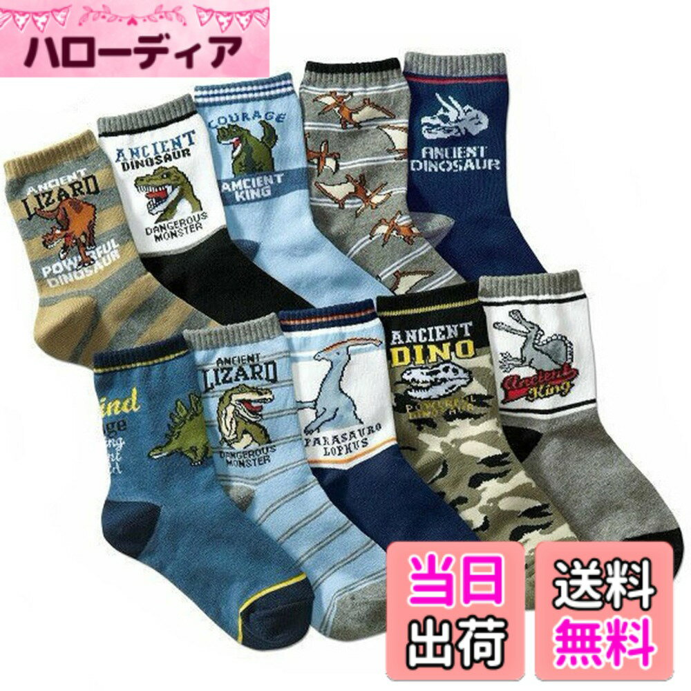 【送料無料】(コナミヤ) Konamiya 男の子乗り物デザインのびのびクルーソックス 10足組 色：恐竜B、サイズ：19.0-23.0 cm
