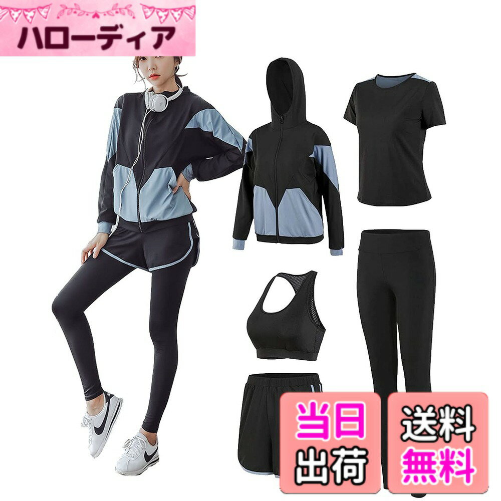 ������̵����[DawnRain] ���ݡ��ĥ����� ��ǥ����� �襬������ �ȥ졼�˥󥰥����� ���˥󥰥����� �岼 5�����å� ������ �̵� �۴�®�� �ե���...