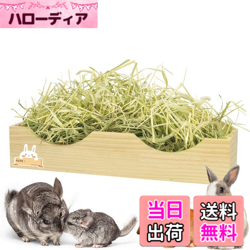 ������̵����IYOIYA ������ �������� �磻�� ���� ���� �ե������� ������ ���⥷�� ������ ������ ���� ����å� ������� �ǥ��� �ͥ��ߤἰ ��...
