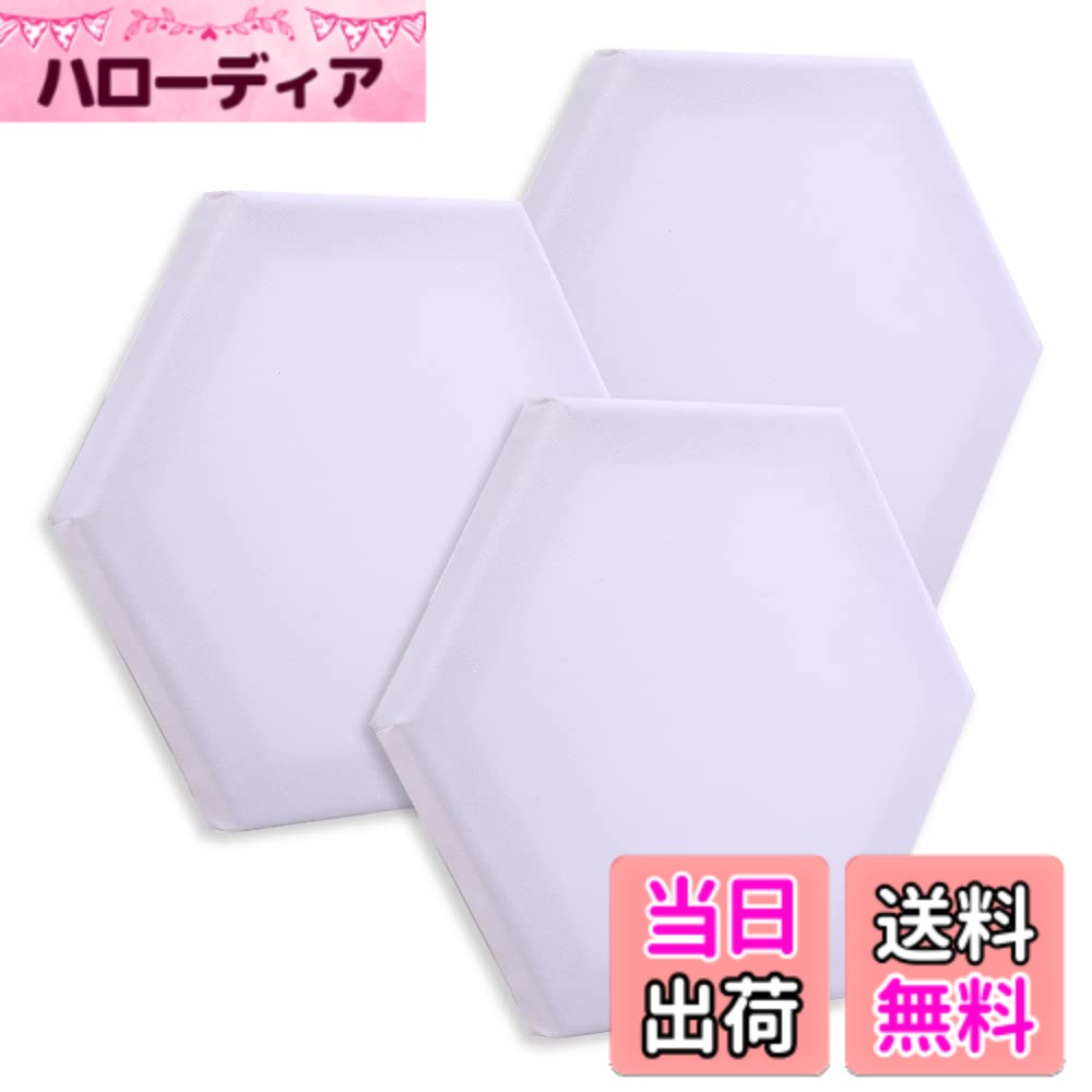 【送料無料】Chocople ミニキャンバス キャンバス 画材 絵画 水彩画 油絵 六角形 3個 セット 色：ホワイト、サイズ：六角形15cm