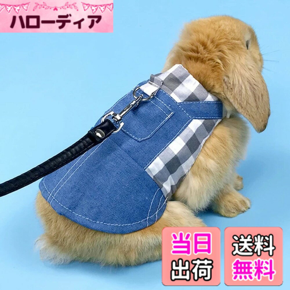 ������̵���ۤ����� �ϡ��ͥ� �ǥ˥� �ʻ����İ��� �������� �����ʻ�-���졼����������S(0.5kg�μ㤤�������˺�Ŭ)