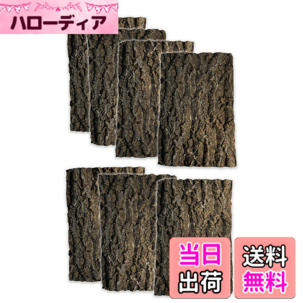 樂天商城 - 【送料無料】WinJapan コルク樹皮 着生 エアプランツ チランジア バークチップ 爬虫類 観葉植物 本物 ヘゴ板 サイズ：大サイズ 200x300　7枚