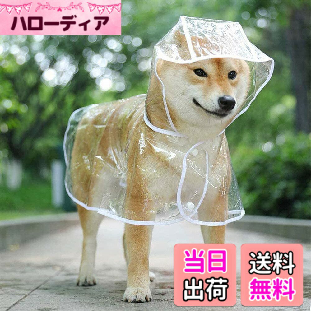 ������̵���۸��ѥ쥤�󥳡��� �ڥåȥ쥤�󥳡��� ���å� �ݥ���� ������ �淿�� �緿�� �Ƹ� �ѿ��� Ʃ���ʹ������� ���褱�����к� ��æ��ñ �����ۥ磻��...