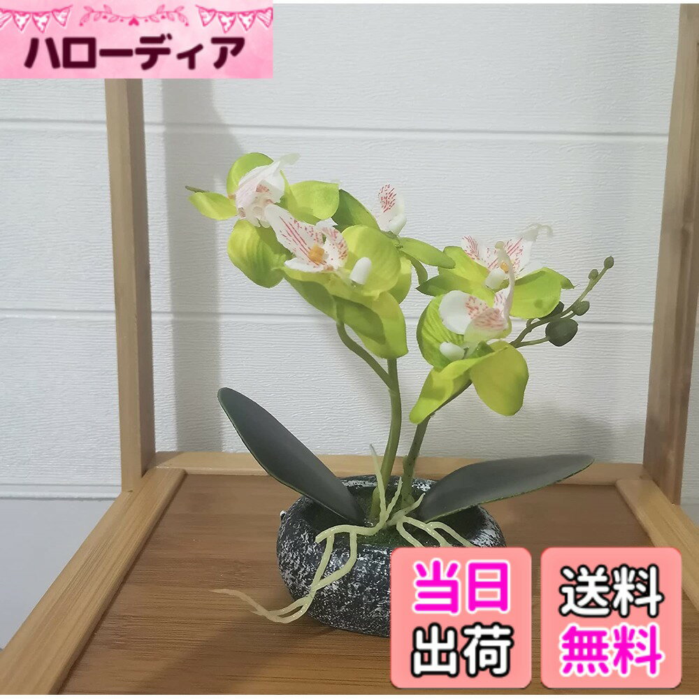 樂天商城 - 【送料無料】人工観葉植物 胡蝶蘭 造花 光触媒加工 卓上型 船型の鉢植 石鉢インテリア フェイク シルクフラワー 胡蝶蘭 新築祝い お開店祝いギフトに最適 プレゼント 敬老の日 色：グリーン、サイズ：石鉢