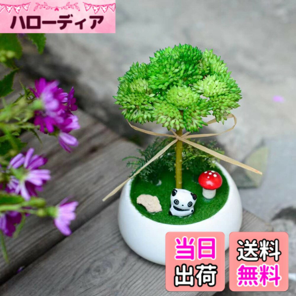 【送料無料】ミニ観葉植物 フェイクグリーン光触媒 人工観葉植物 パンダ 招き猫 飾り 消臭 抗菌 卓上 かわいい インテリア フェイク おしゃれ 造花 (パンダ-A) 色：パンダ-A、サイズ：小尺寸