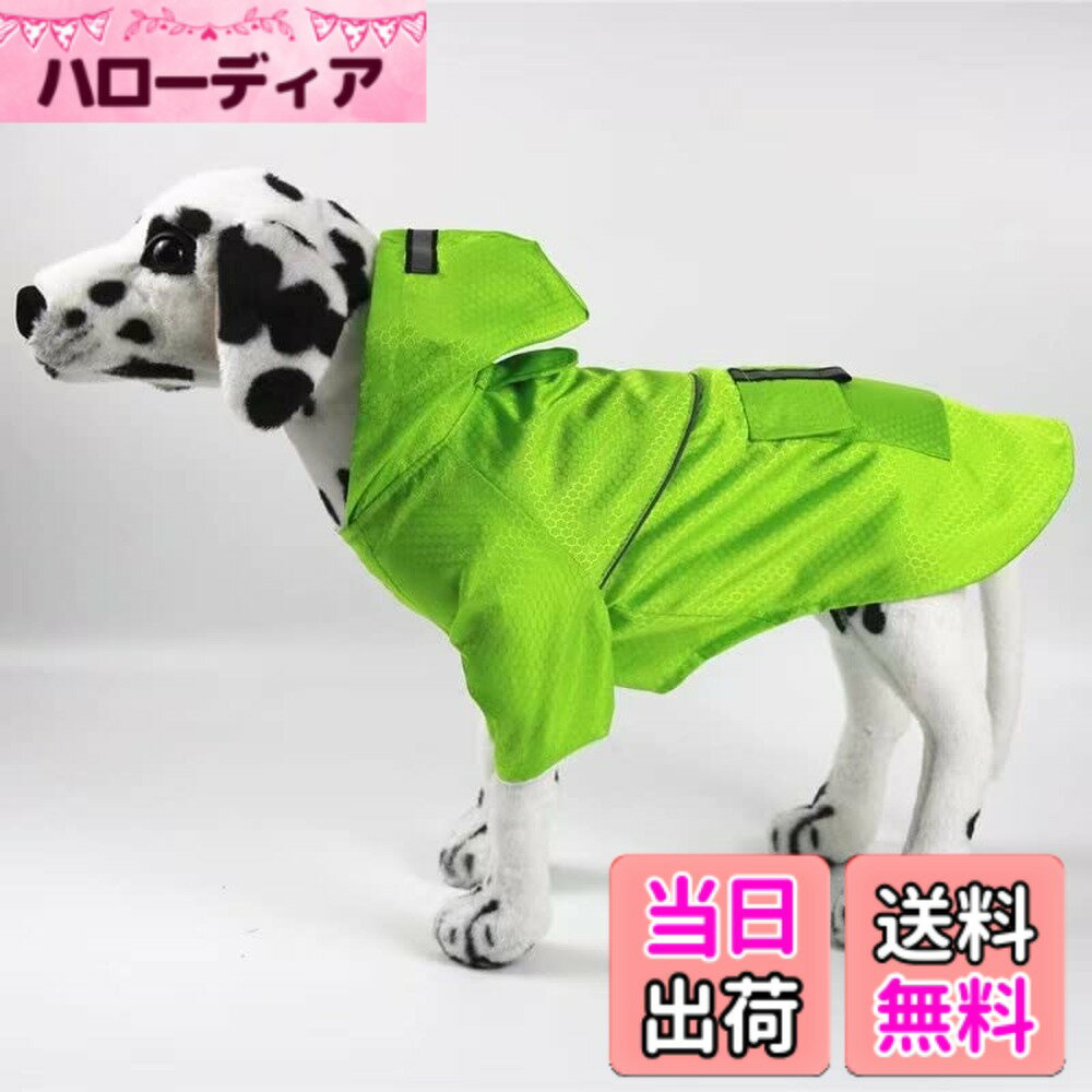 ������̵���۸��ѥ쥤�󥳡��� �ڥåȥ쥤�󥳡��� ���å� �ݥ���� ������ �淿�� ����green����������XL